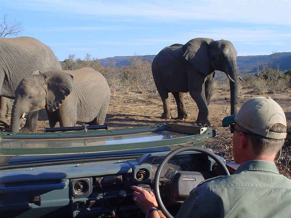 Entabeni Mountain Lodges Mmamatlakala 外观 照片